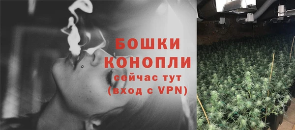 дживик Нефтекумск