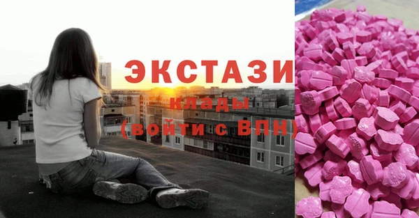 гидра Надым