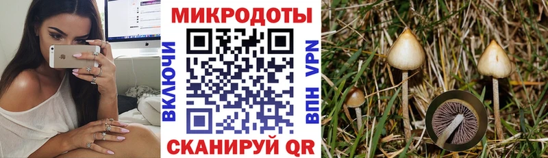продажа наркотиков  Сертолово  Псилоцибиновые грибы ЛСД 